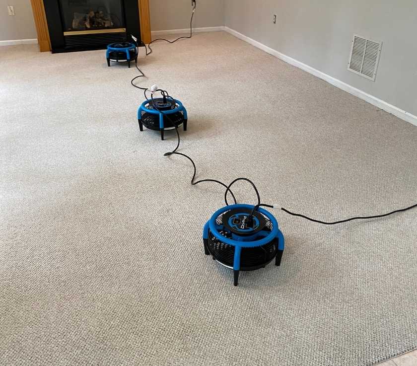 Carpet cleaned and stains removed