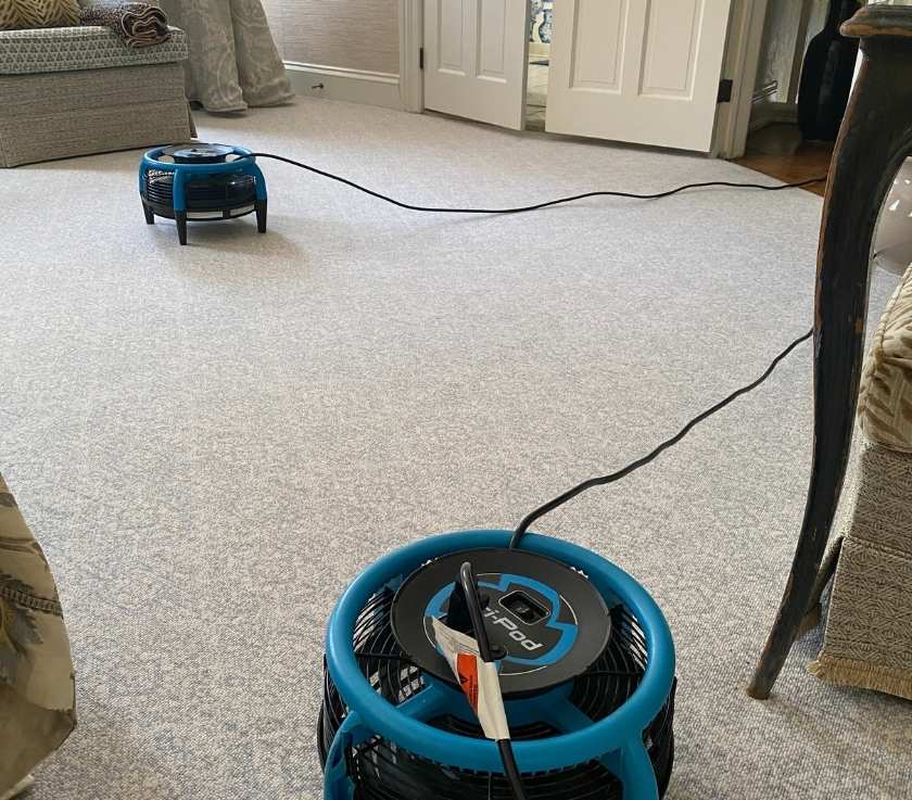 Pet Odor Removal by Pure Surface Care