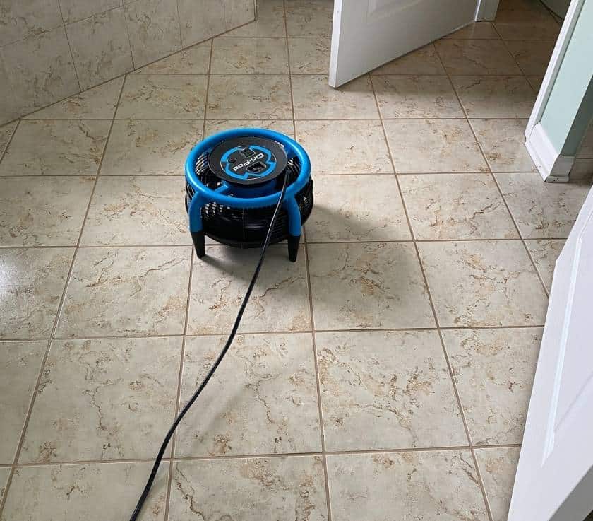 Stem Cleaned Tile and Grout and Fast Drying