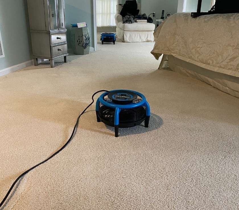Carpet cleaned using proper extraction with air movers for fast drying