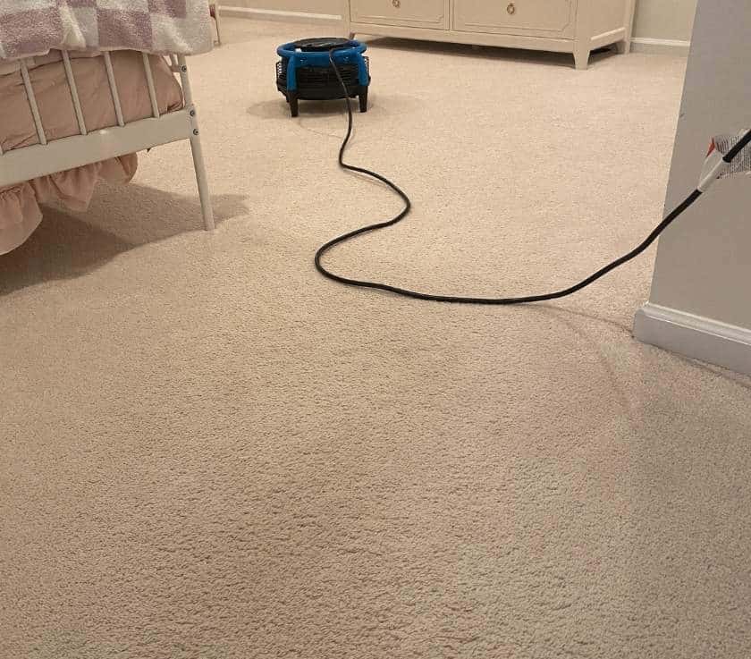 Carpet Cleaning in a Manasquan Home