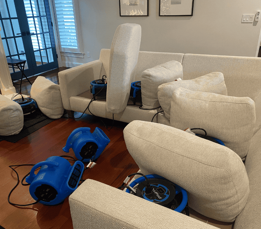 Sectional Cleaned and Odor Removed by Pure Surface Care