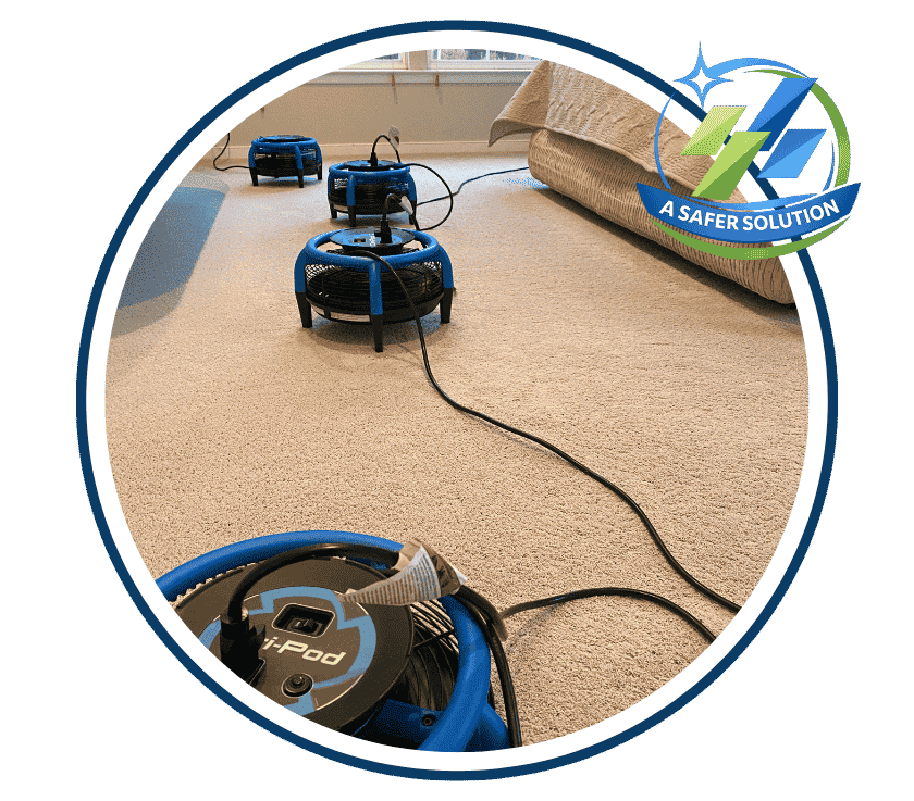 Carpet Cleaning In Allenhurst Nj 1