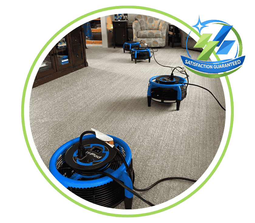 Carpet Cleaning In Allenhurst Nj 1
