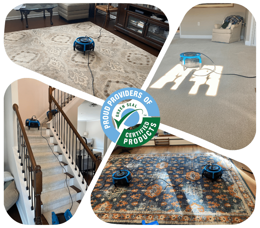 Carpet Cleaning In Asbury Park Nj 1