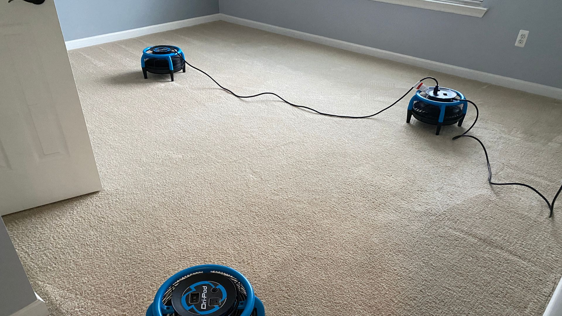 Carpet Cleaning Made Simple for Residents in Monmouth County, NJ