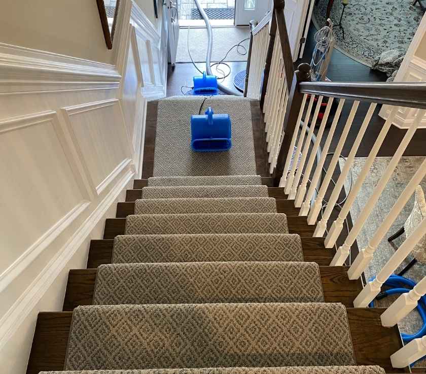 Carpet Cleaning Set of Stairs