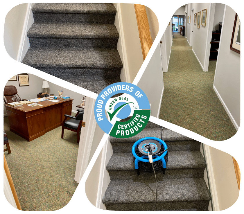 Commercial Carpet Cleaning Services in Toms River 1