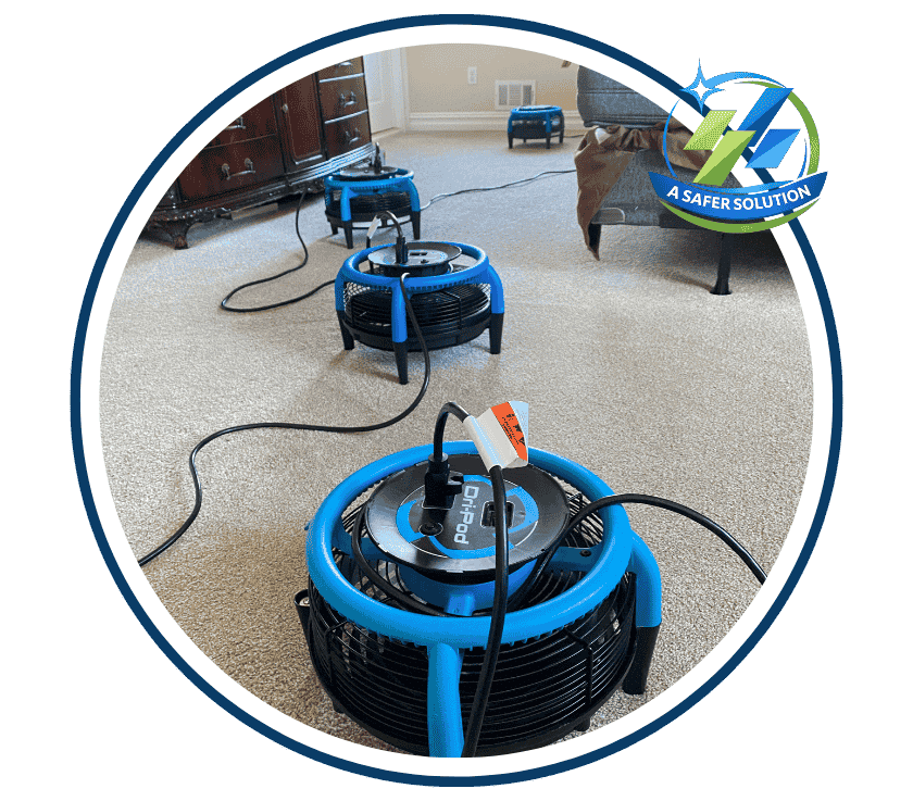 Carpet Cleaned and Pet Odor Removed by Pure Surface Care