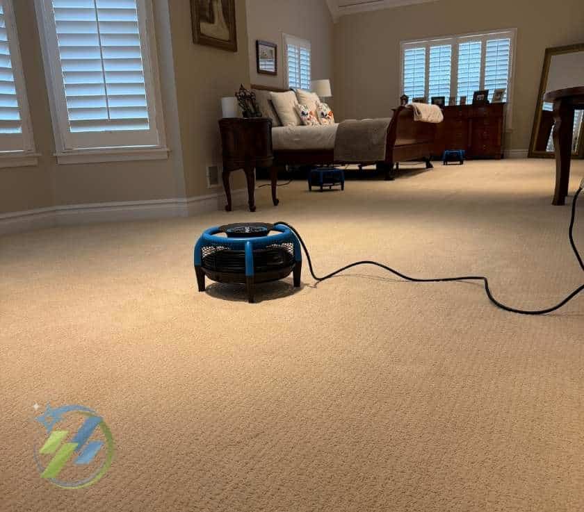 Pet Odor Removal Service in Monmouth County, NJ
