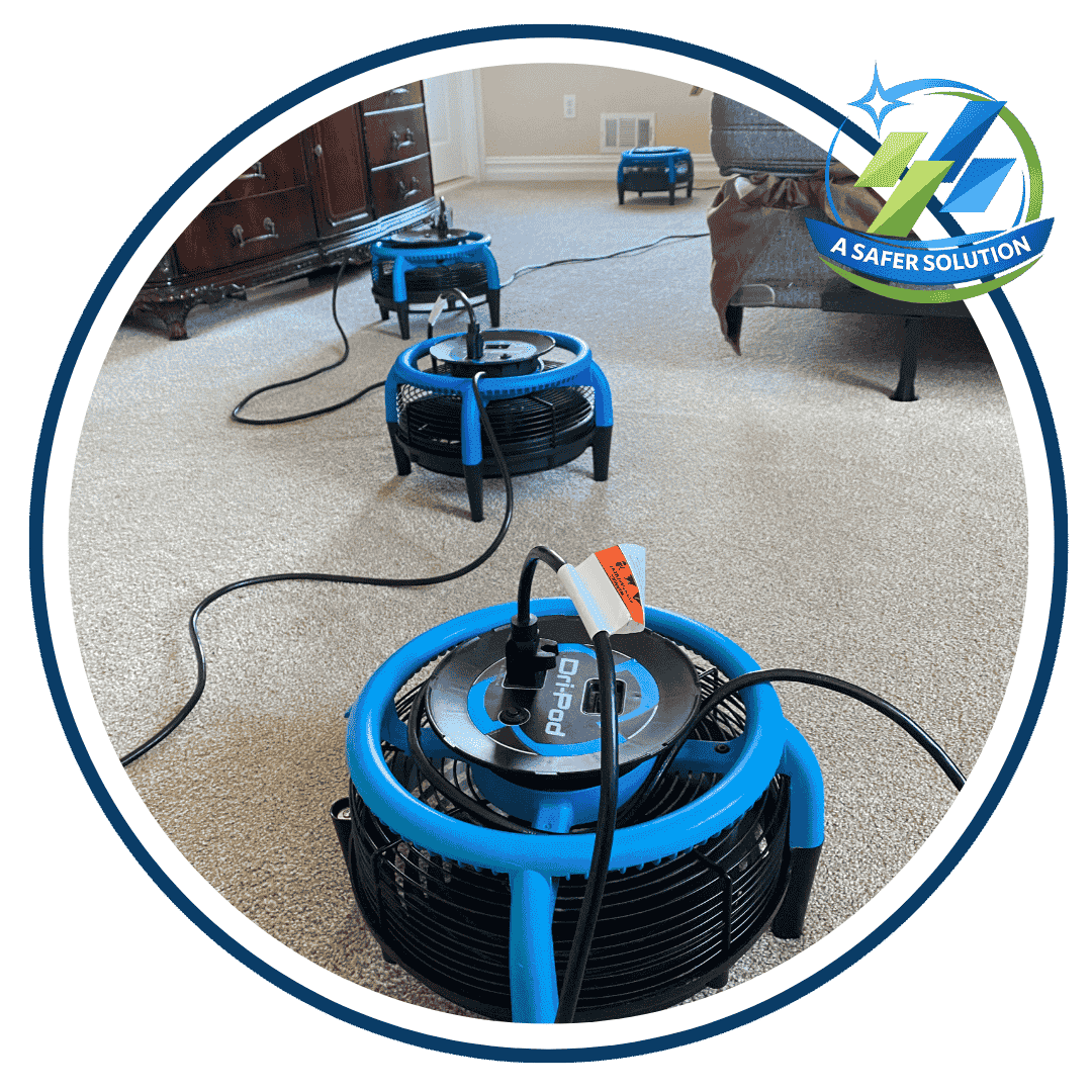 We Remove Pet Odor from Carpet and Upholstery in Deal, NJ