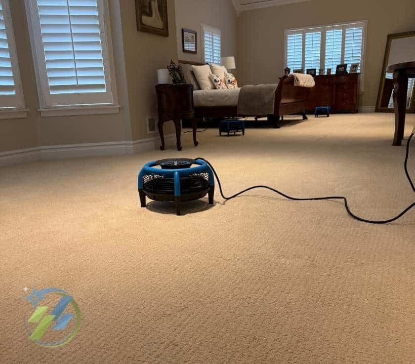 Pet Odor Removal Service in Monmouth County, NJ