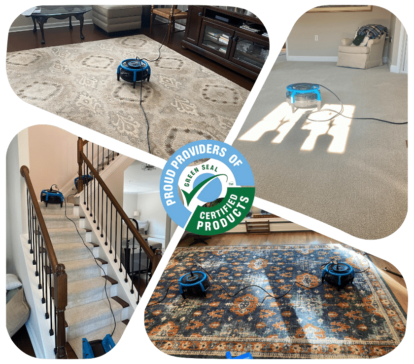 Carpet Cleaning in Monmouth County, NJ