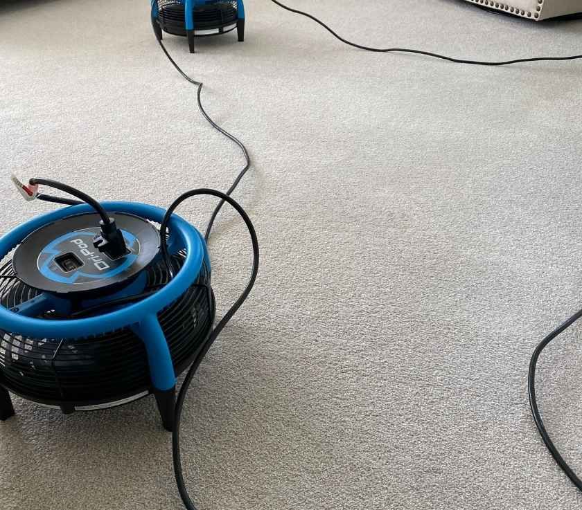 Carpet Cleaning for a home in Freehold, NJ