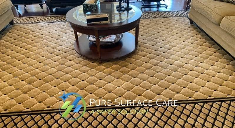 Pure Surface Care- Safe Carpet Cleaning